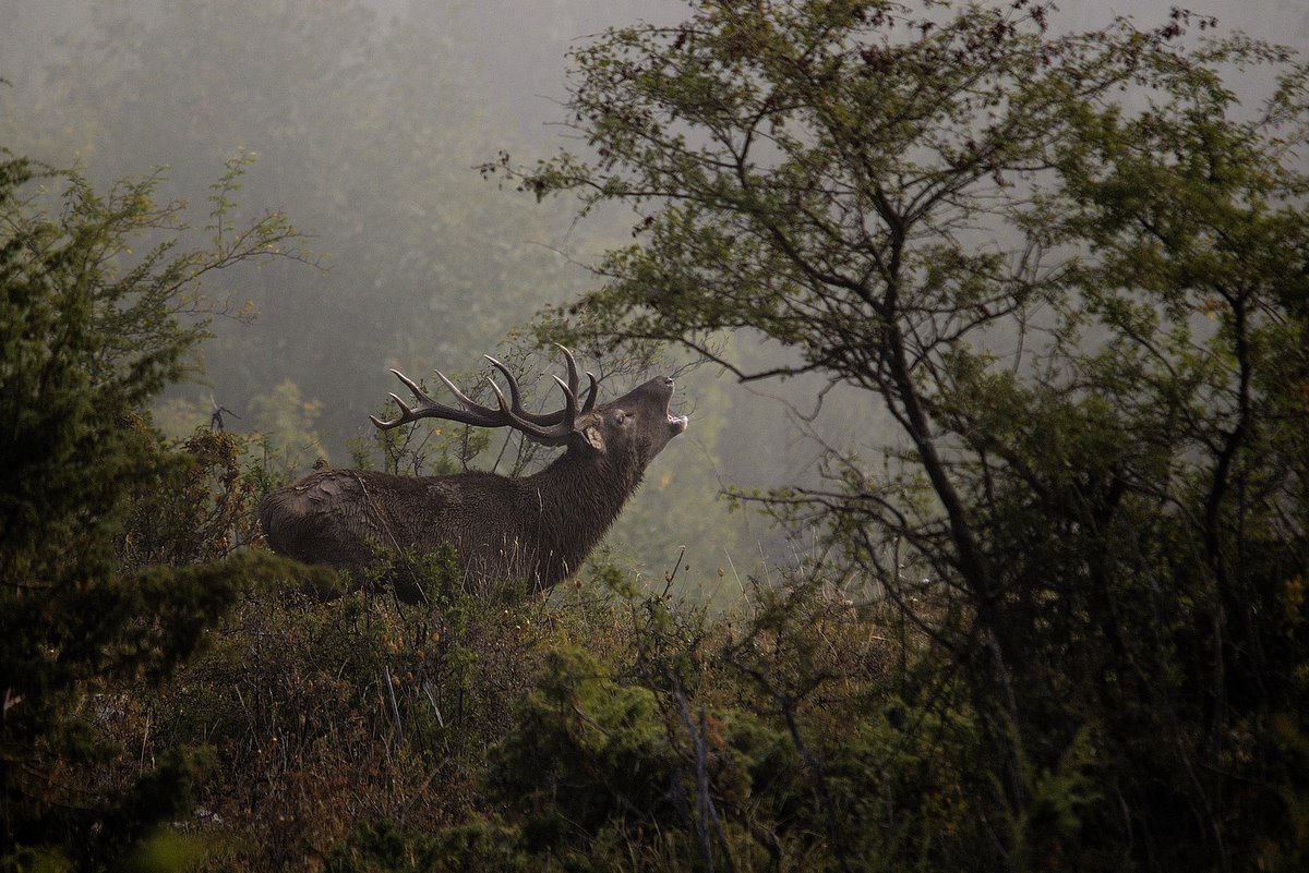 Sogno  (fotoracconto)